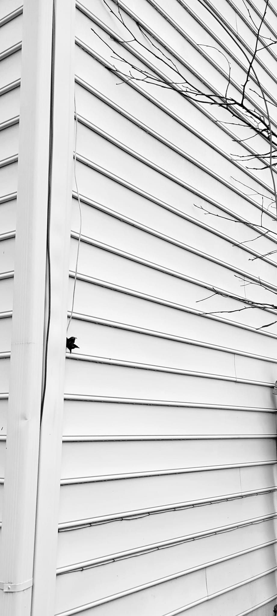 A black and white photo of a white siding on a building