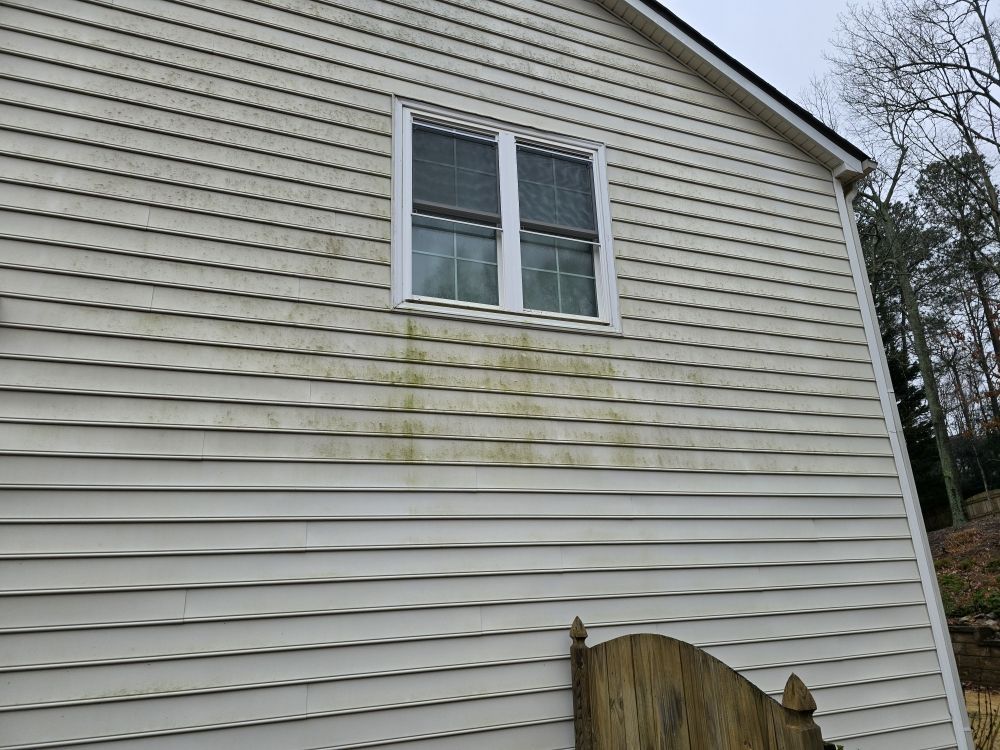 A house with a lot of green algae on the side of it.