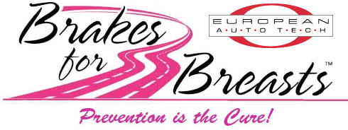 Brakes For Breasts logo