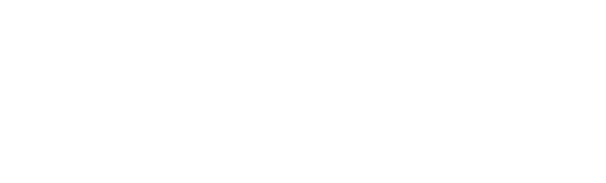 SmallBee branding and web design logo