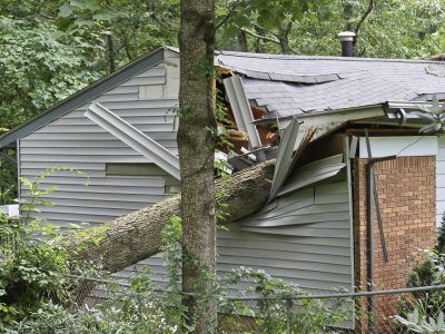 Tree fallen on house, damaging roof and siding.