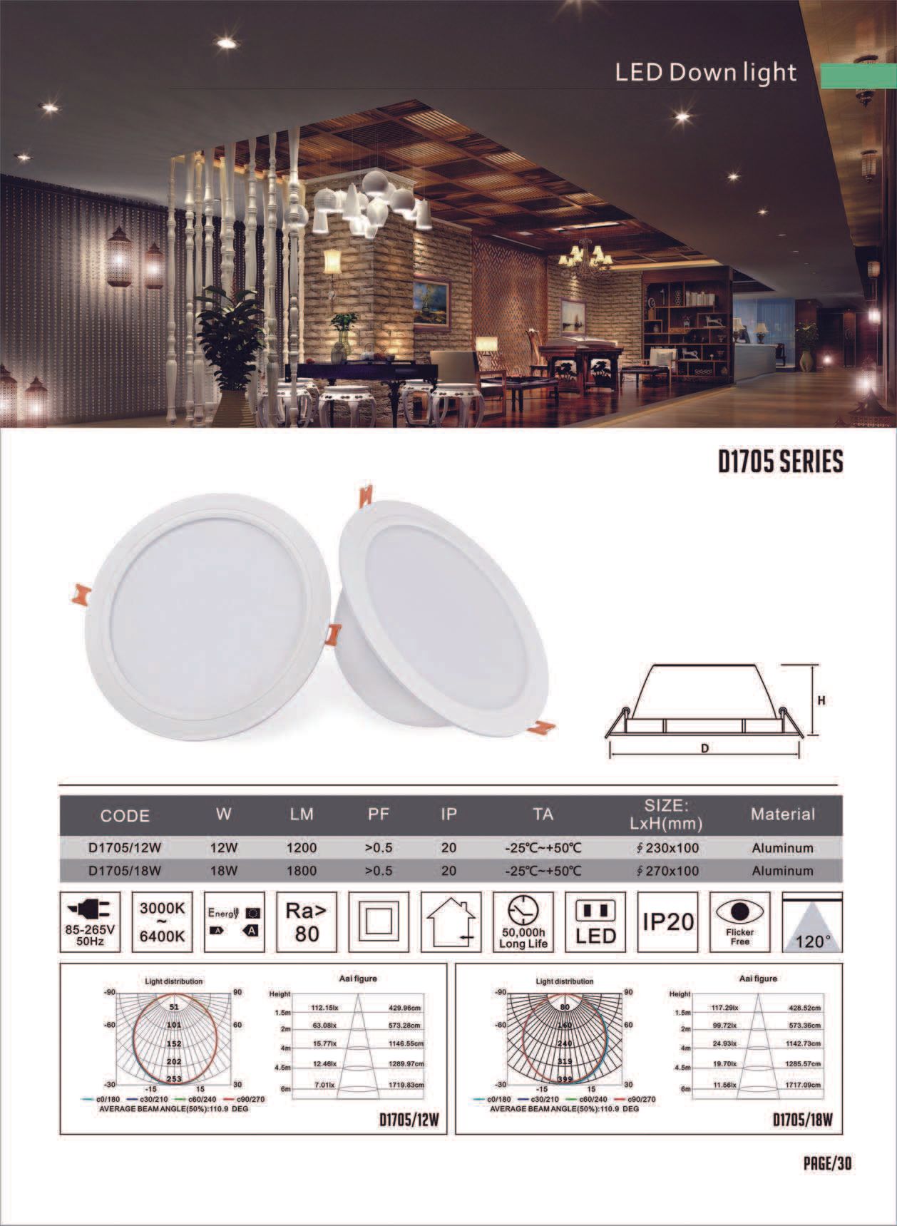 Feel-Lite LED Down Light