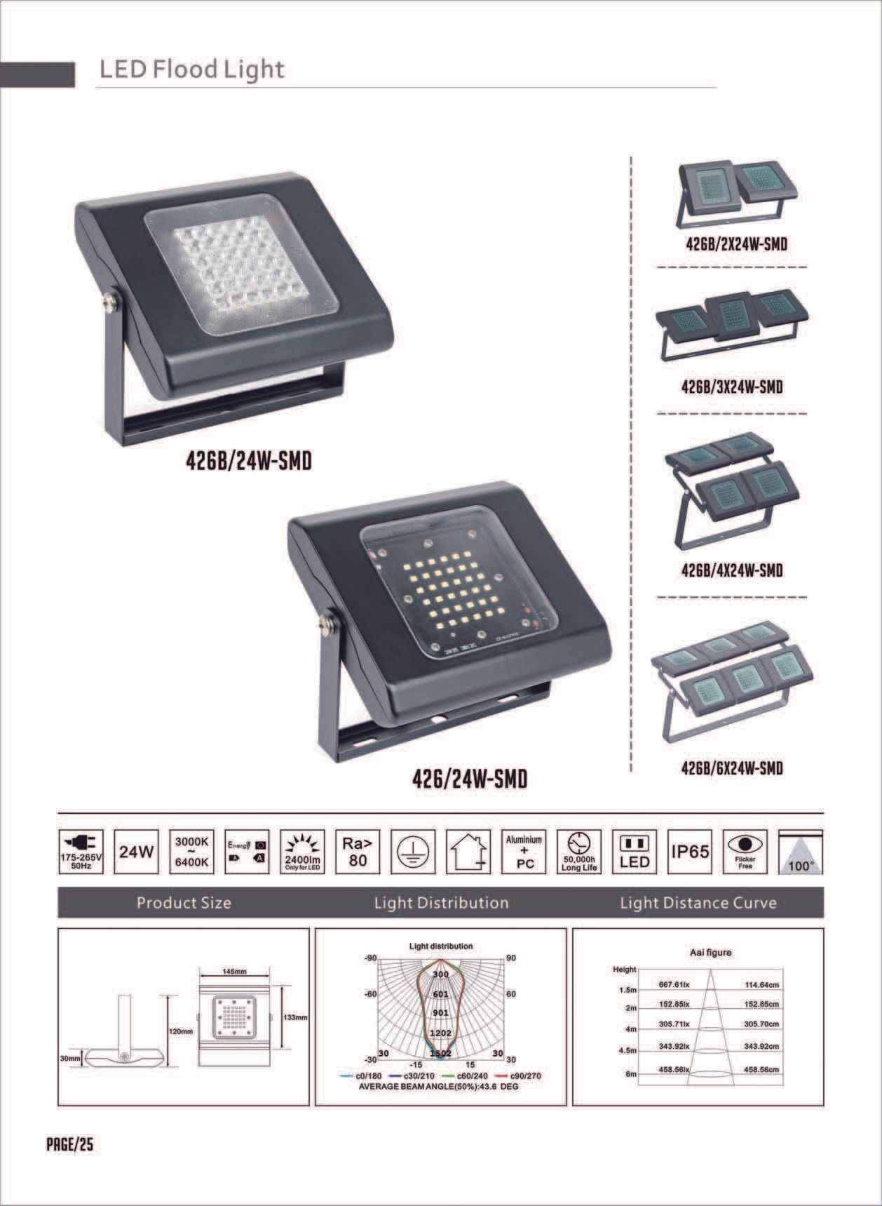 Feel-Lite LED Flood Light