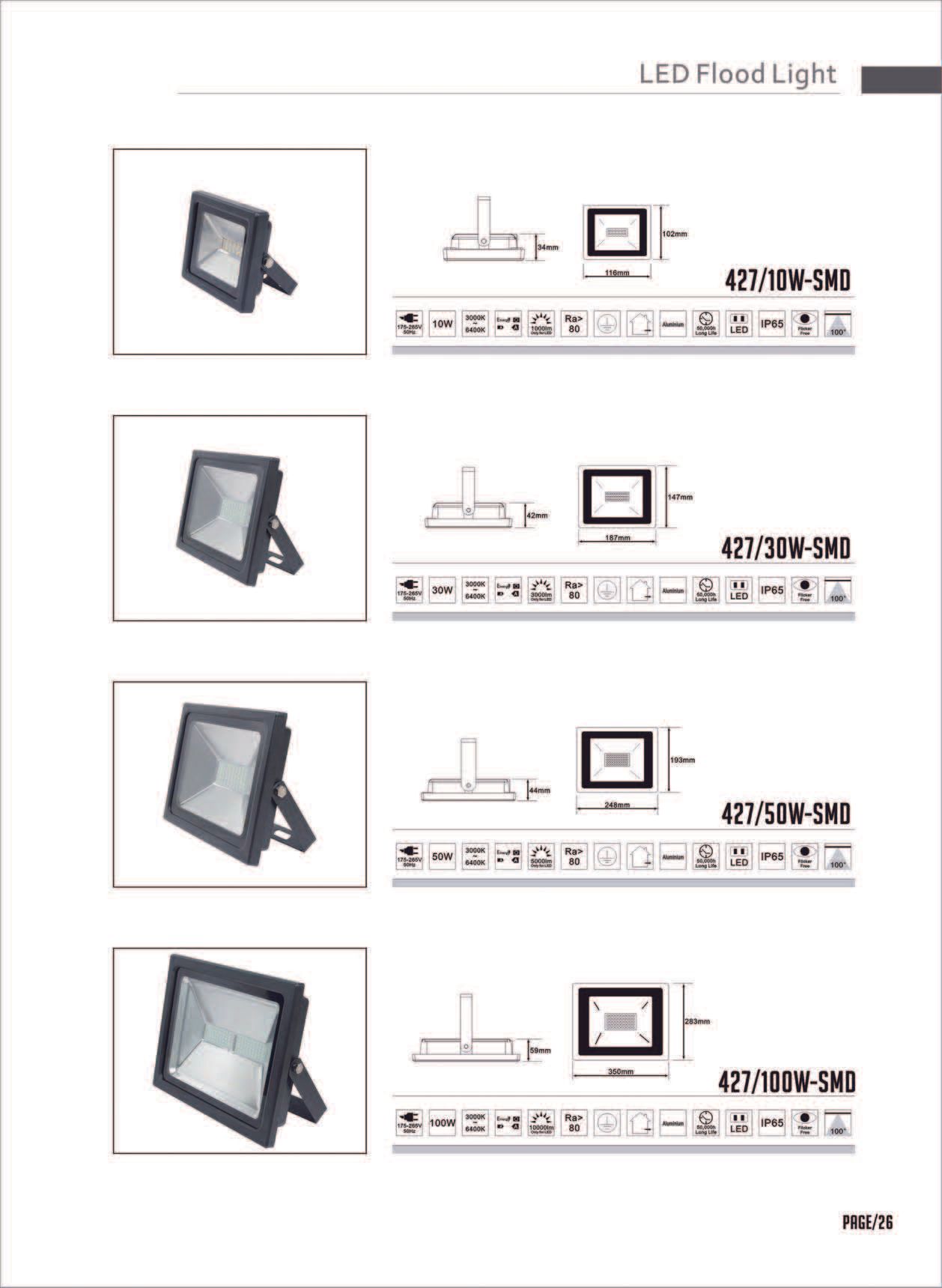 Feel-Lite LED Flood Light