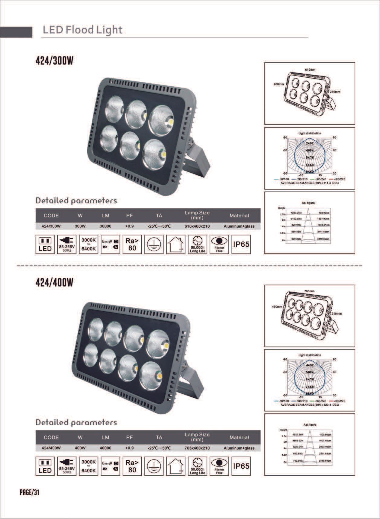 Feel-Lite LED Flood Light