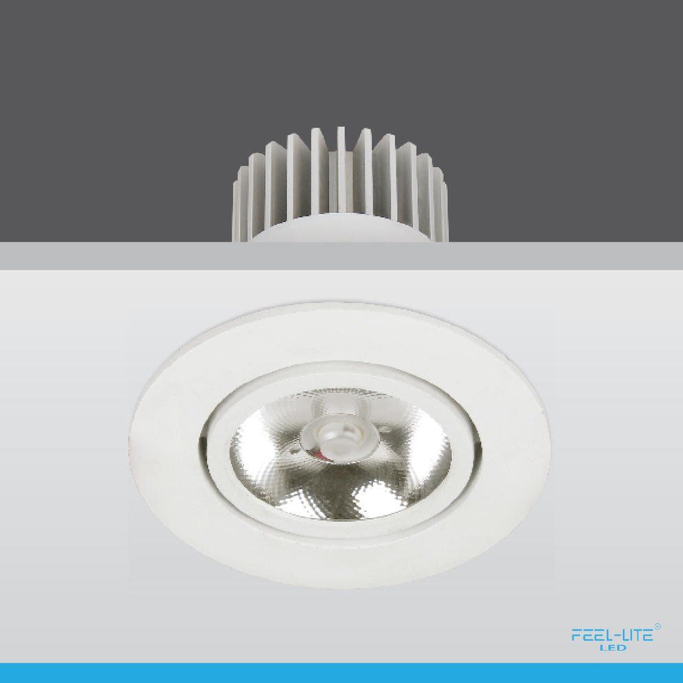 Feel-Lite LED DOWNLIGHT-D1503