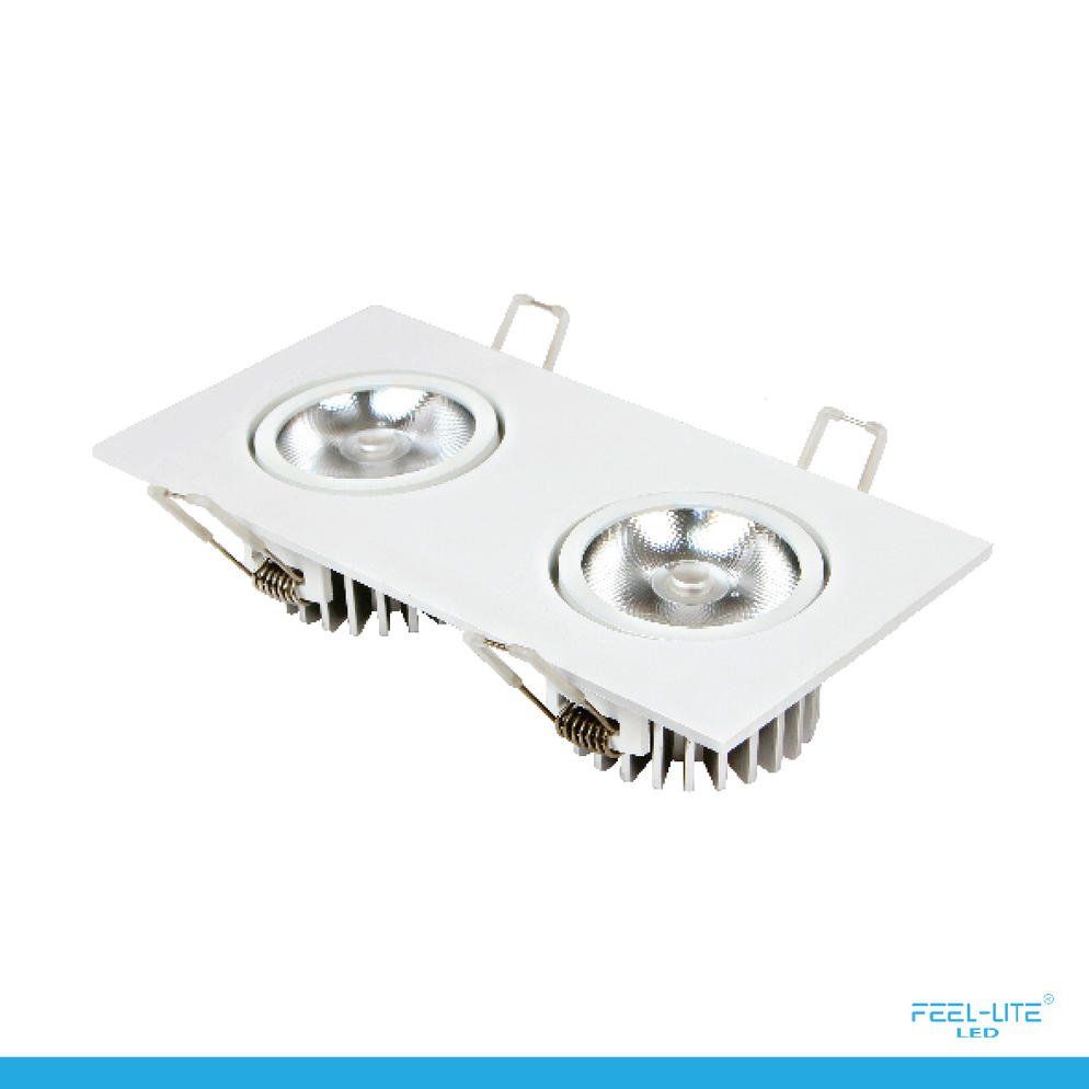Feel-Lite LED DOWNLIGHT-S1503-12Wx2-T