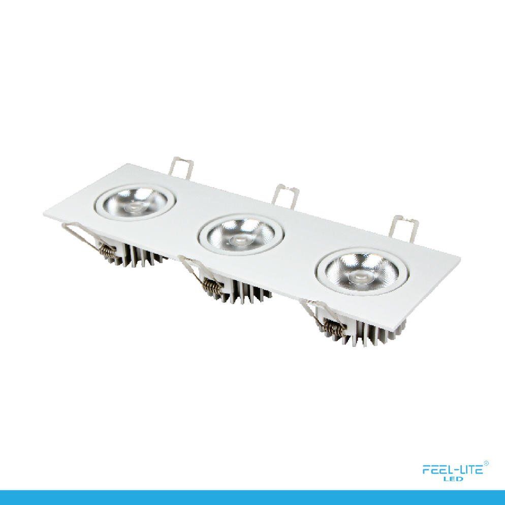 Feel-Lite LED DOWNLIGHT-S1503-12Wx3-T