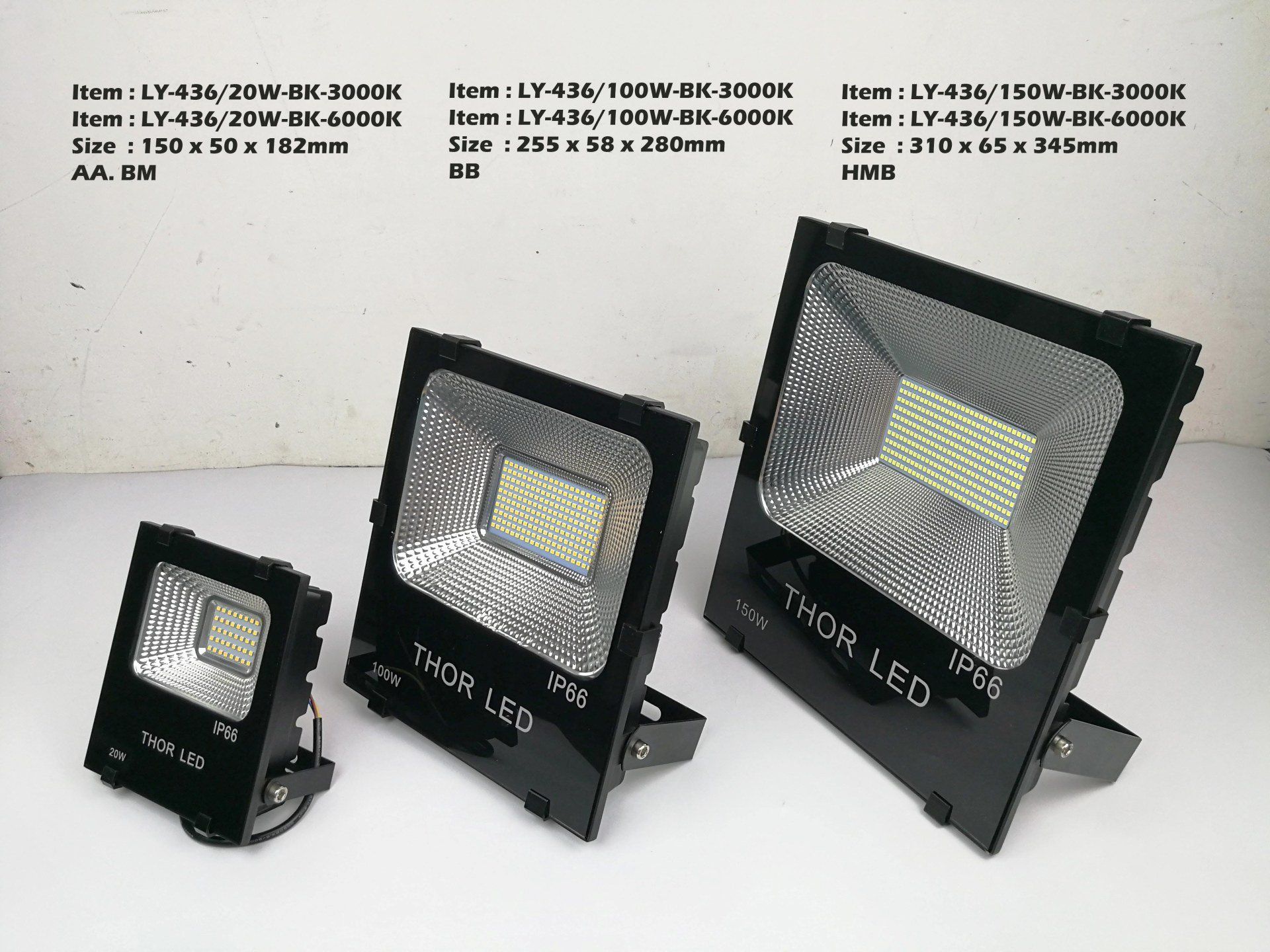 Feel-Lite Flood Light