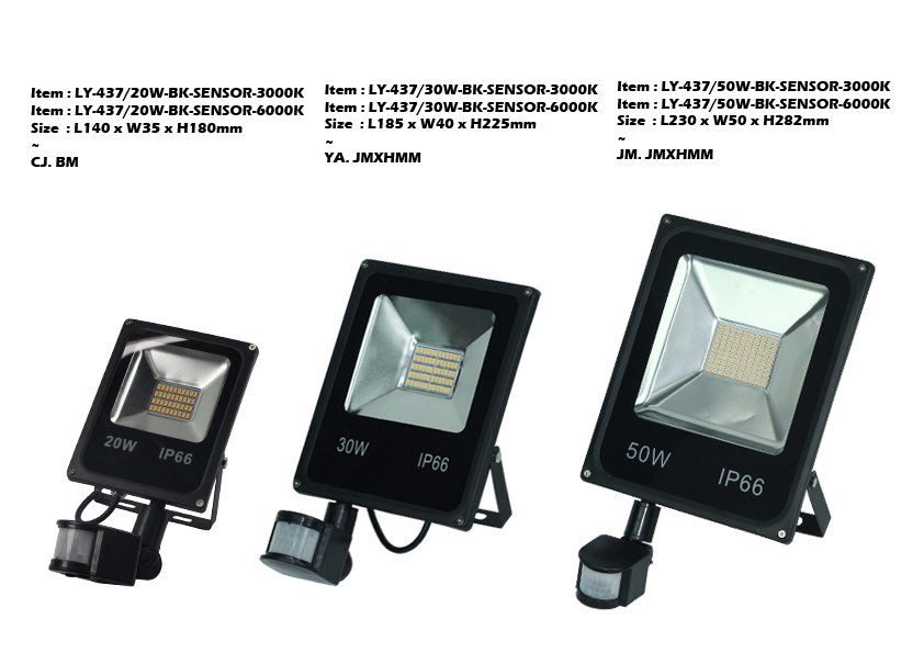 Feel-Lite Flood Light