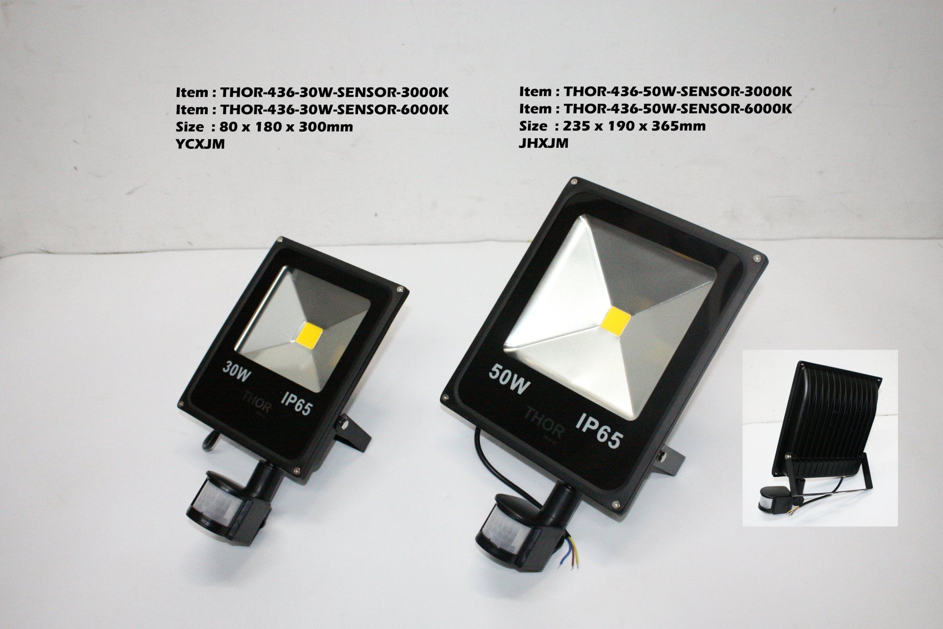 Feel-Lite Flood Light