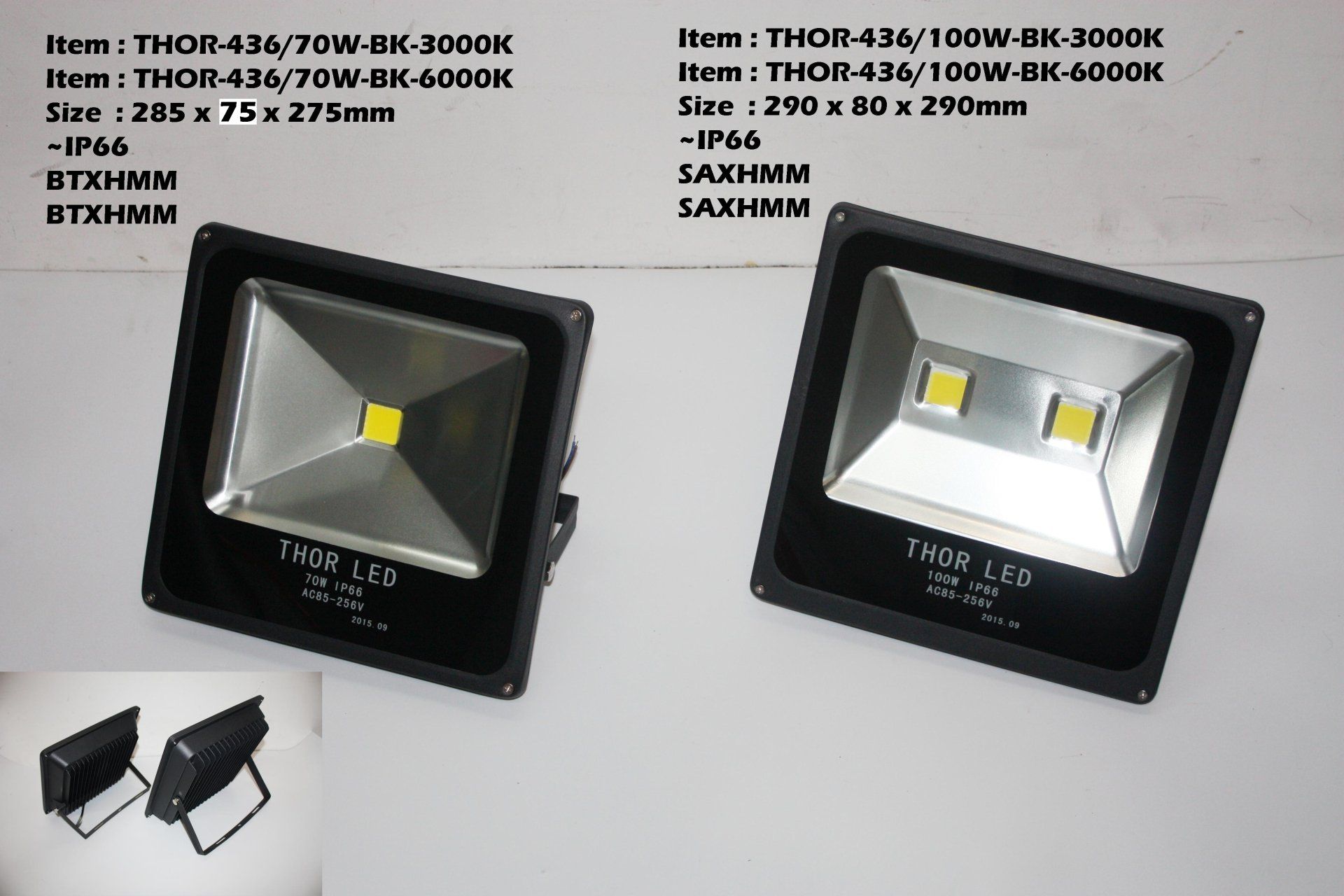 Feel-Lite Flood Light