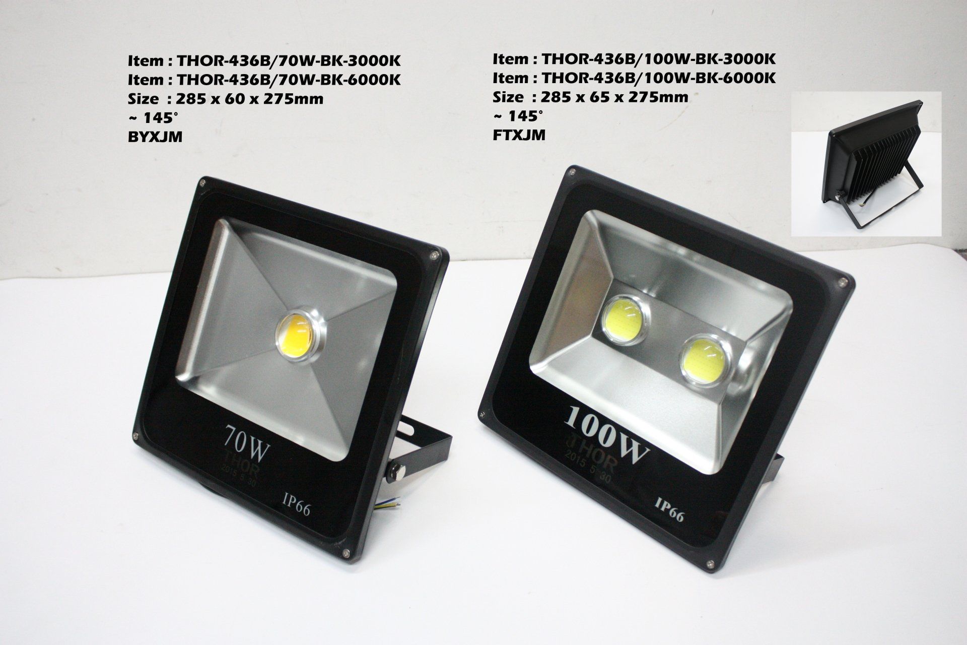 Feel-Lite Flood Light