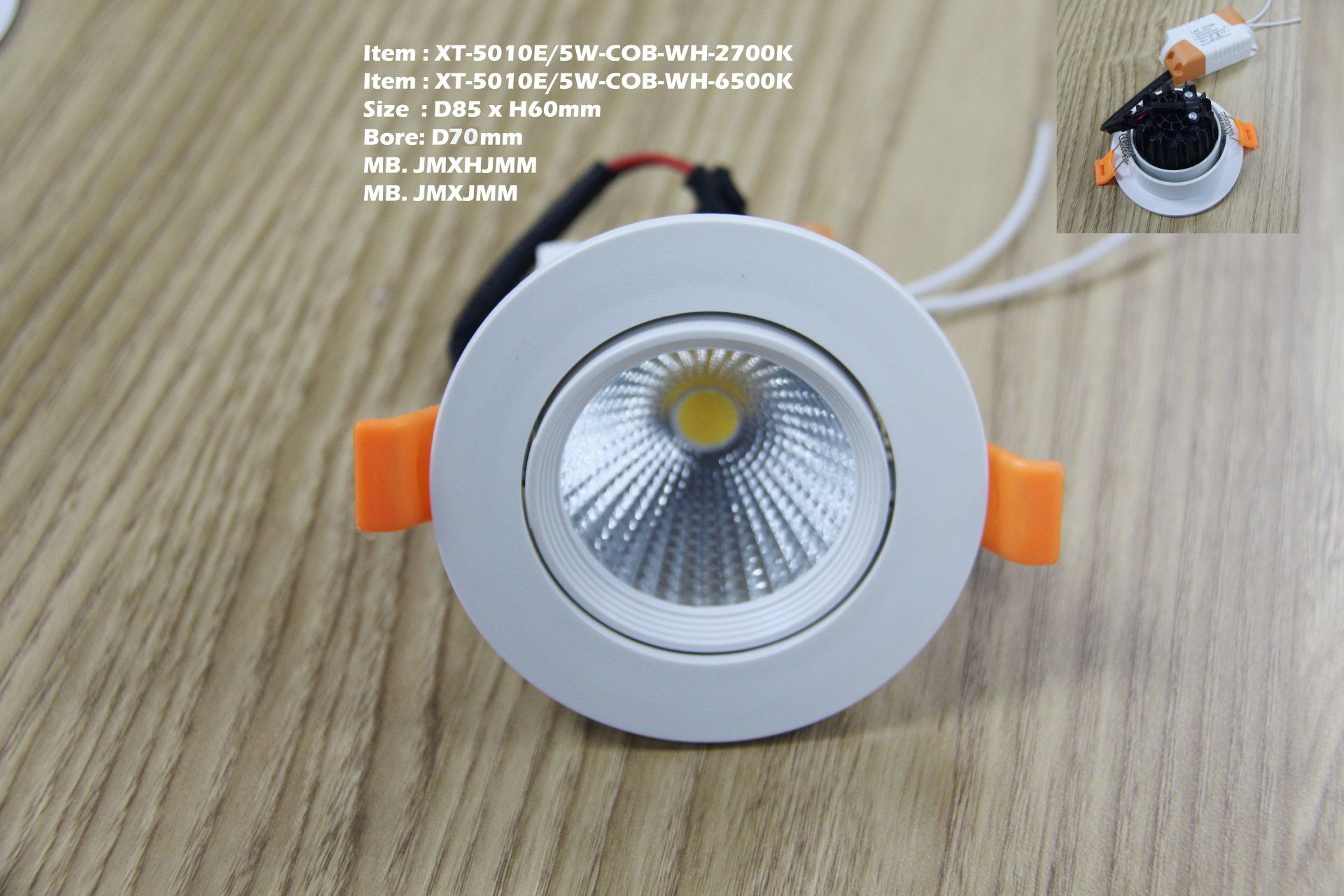 Feel-Lite LED Eyeball