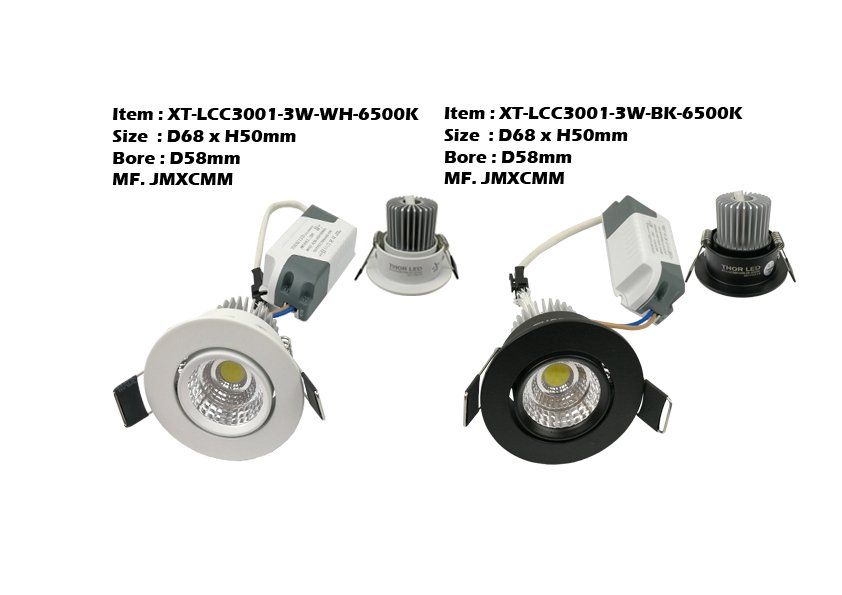 Feel-Lite LED Eyeball