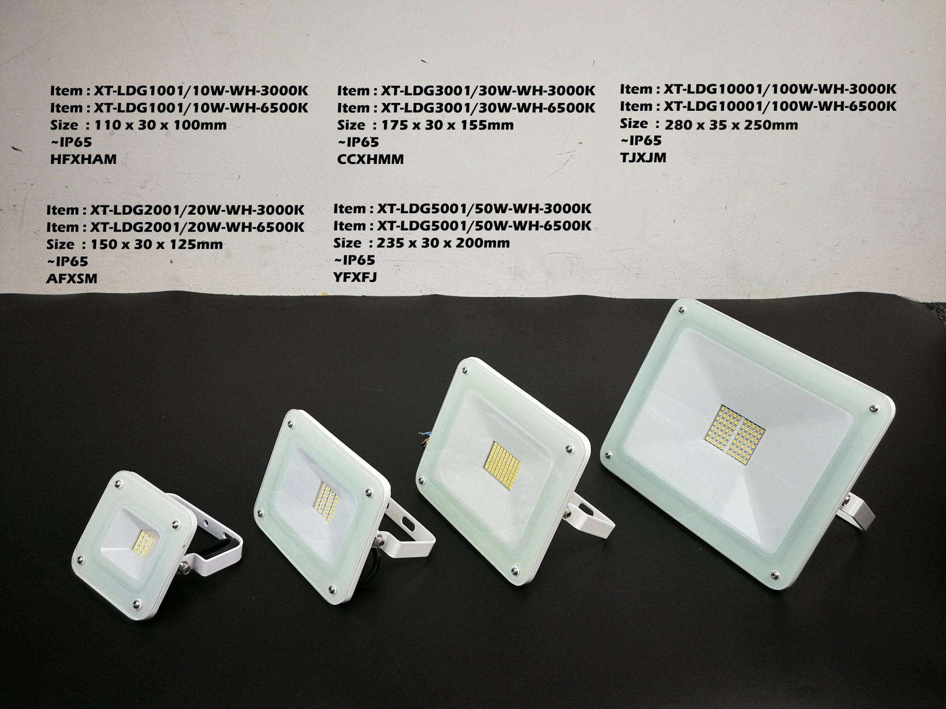 Feel-Lite Flood Light