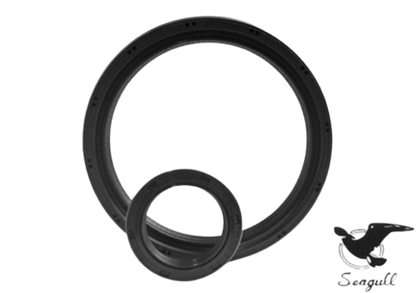 Oil Seals — Torque Tech Supply & Repairs In Port Macquarie, NSW