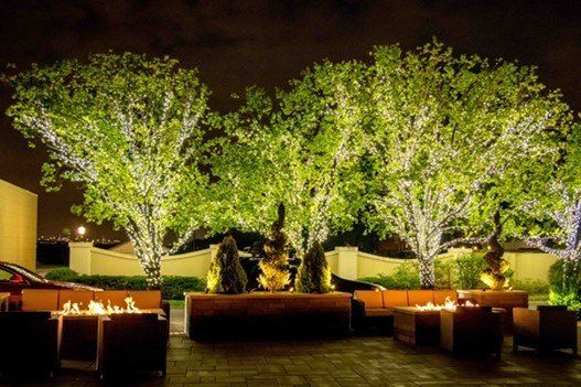 Outdoor Events at Marina Del Rey15