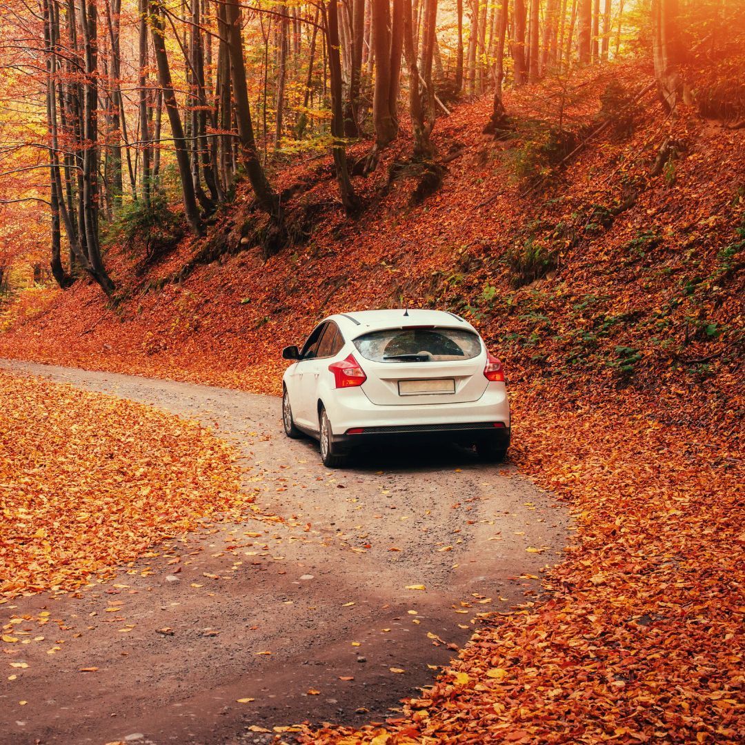 How Much Does Car Insurance Cost in Michigan in 2026?