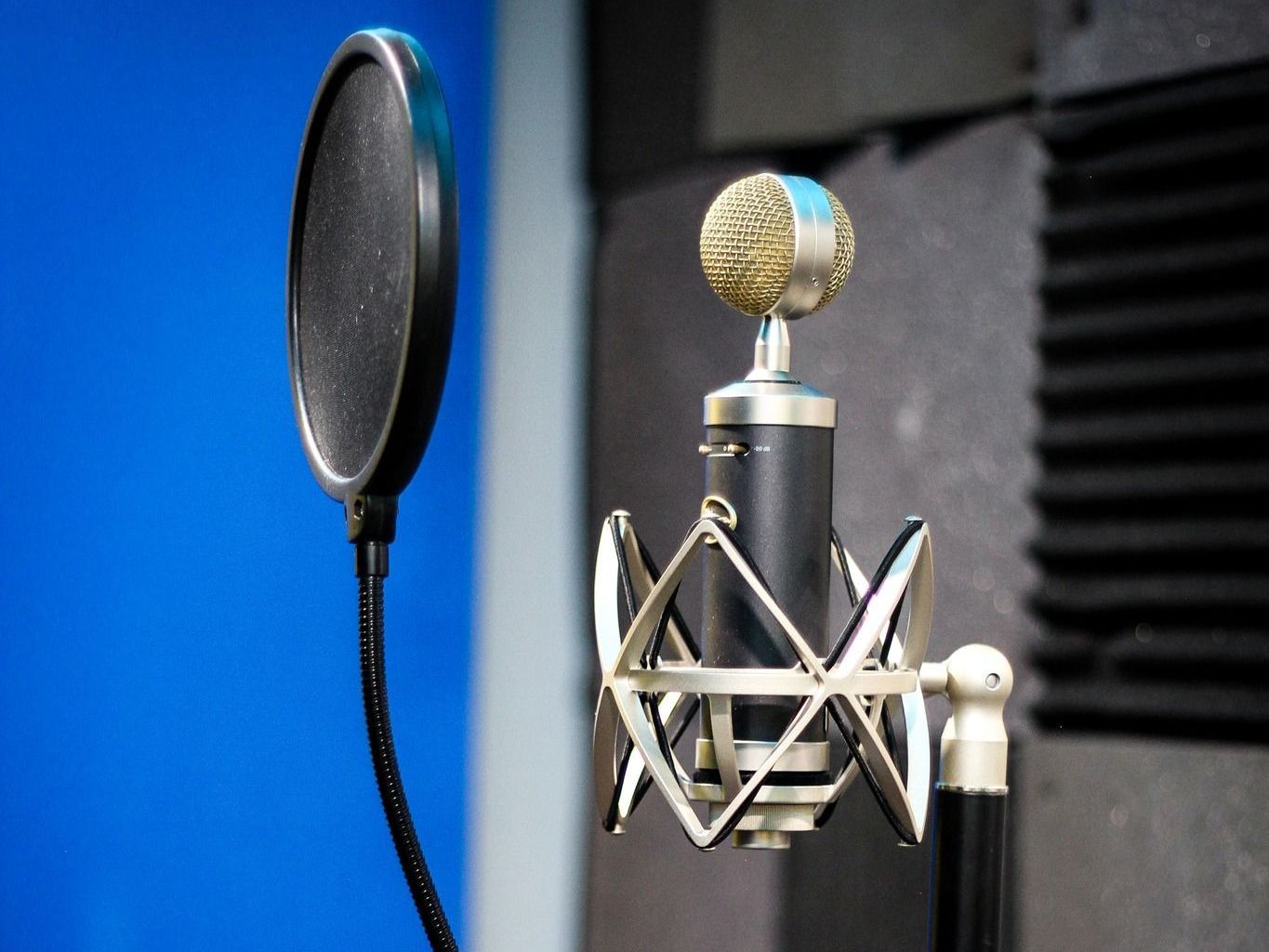 Microphone with a pop filter in a recording studio.