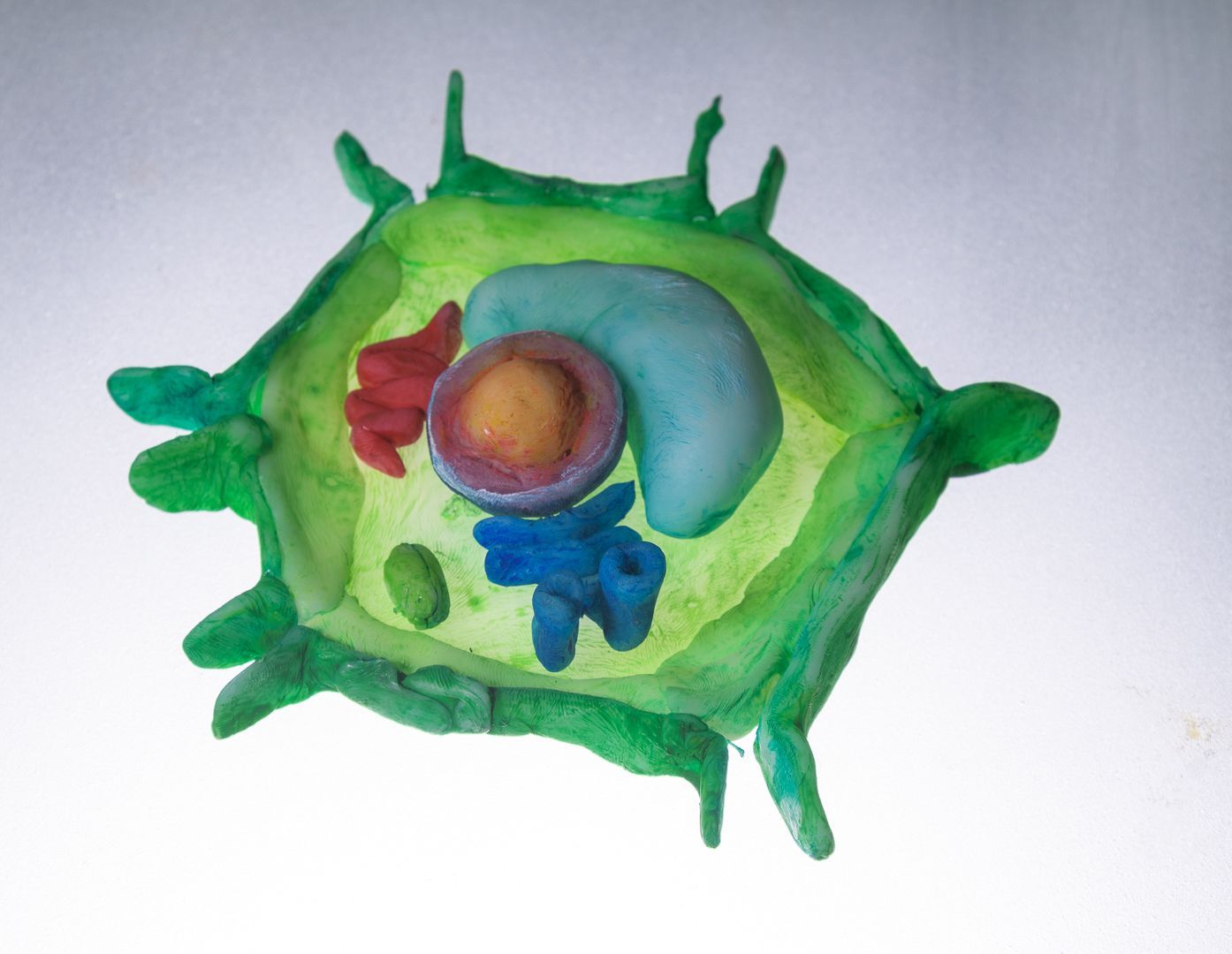 Plant cell model made with FrogzEggz