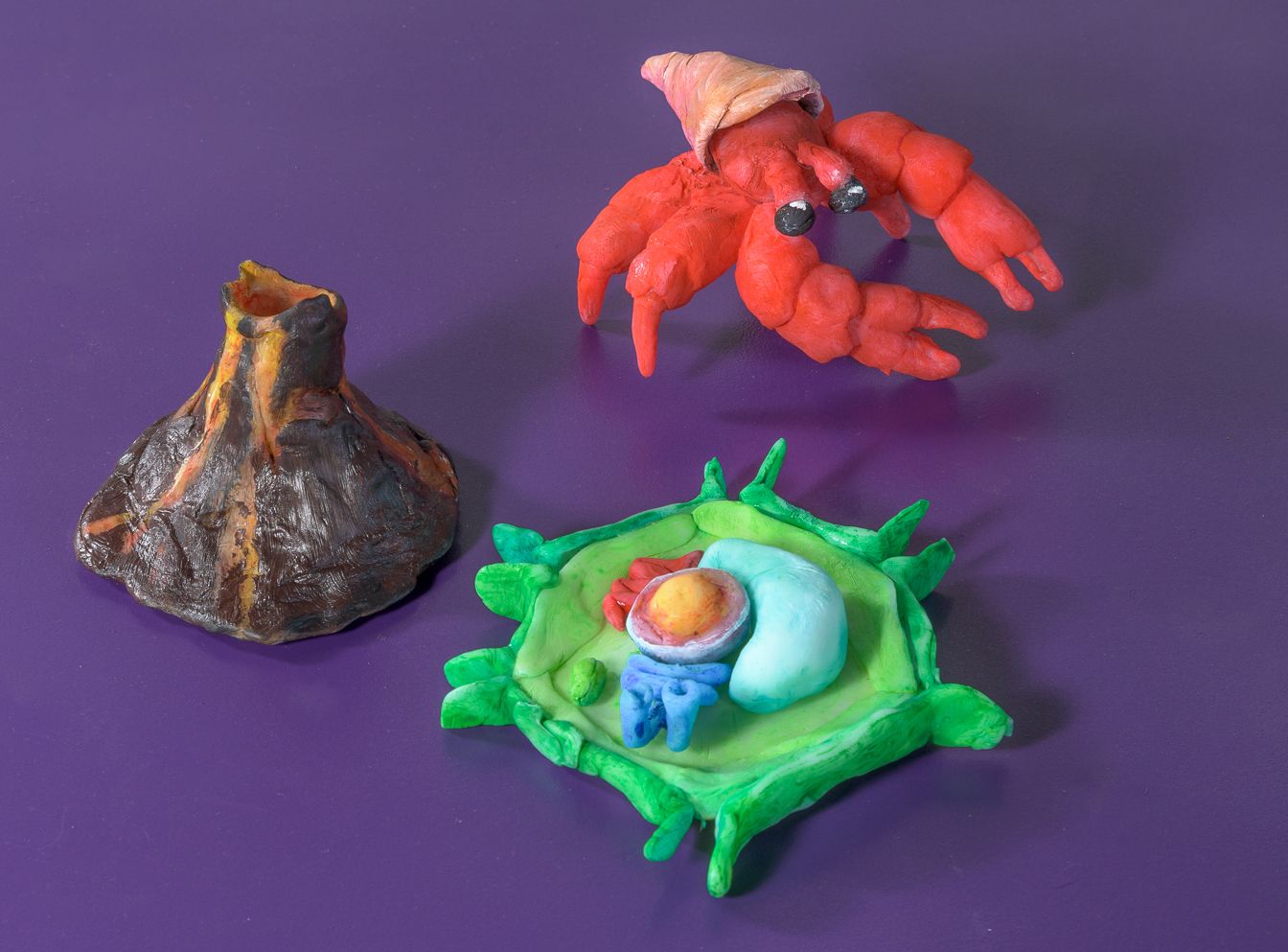 School Projects with FrogzEggz