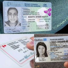 buy canadian driver's license online