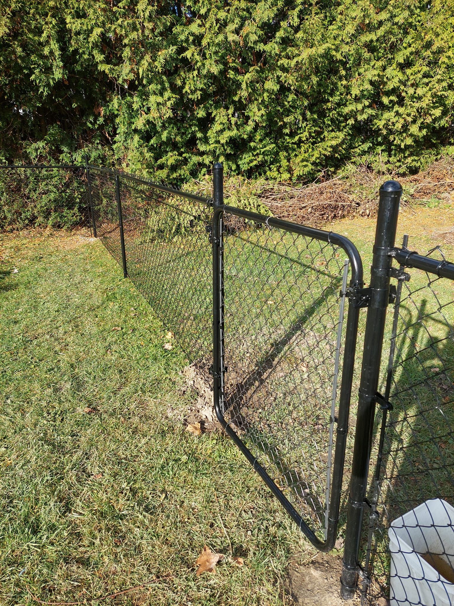 Black chain link fence with a gate on a grassy lawn, with green bushes in the background.