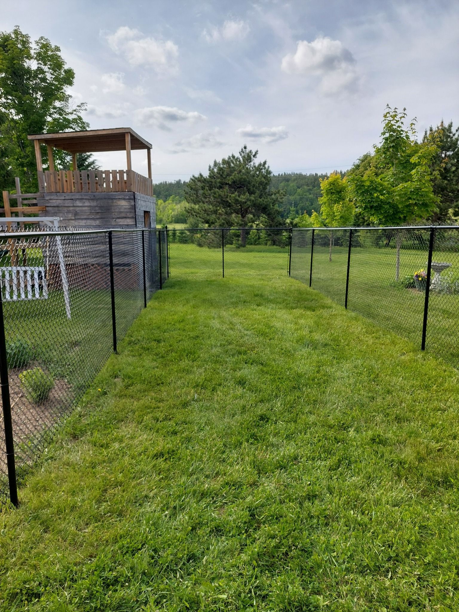 Green lawn with black chain link fence, small wooden structure, and distant trees under cloudy sky.
