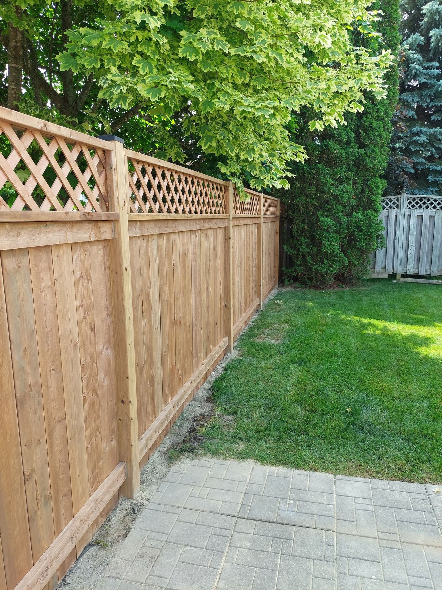 Wooden fence with lattice top in a backyard with green grass and trees.