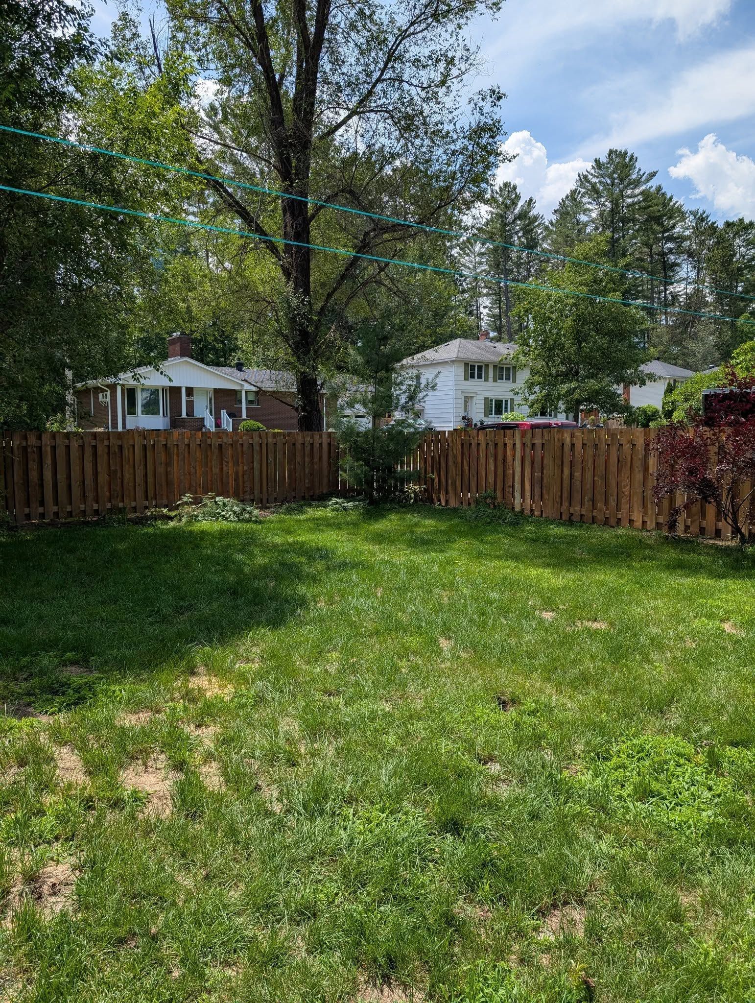 Backyard with a wooden fence, green grass, and houses in the background.