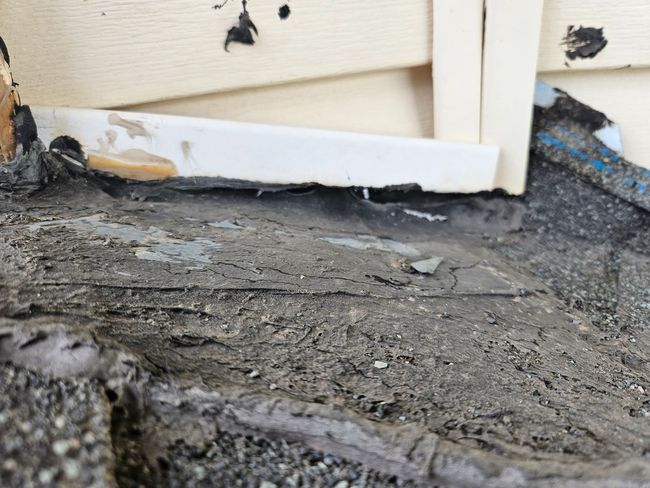 Ellingson Roofing LLC - shingle roof damage fort collins, missing shingles fort collins - roof repair fort collins