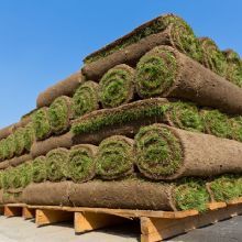 Rolled Sod | Longmont, CO | Sunny Slope Sod Farm LLC