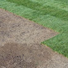 Laying Sod | Longmont, CO | Sunny Slope Sod Farm LLC