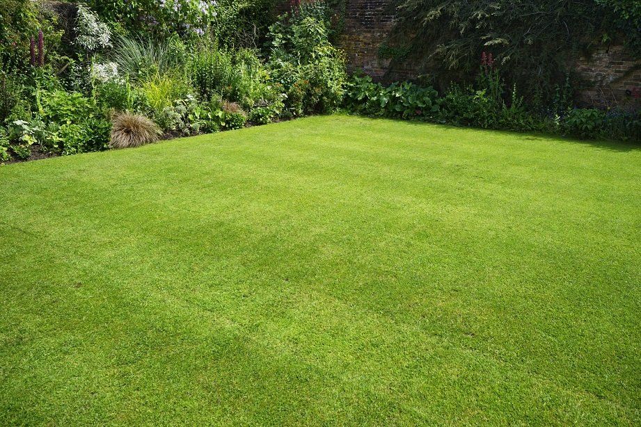 Clean Garden | Longmont, CO | Sunny Slope Sod Farm LLC