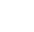 flight logo