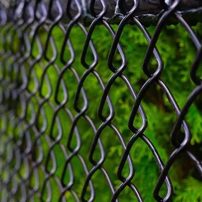 Black chain-link fence with a green, blurred background of foliage.