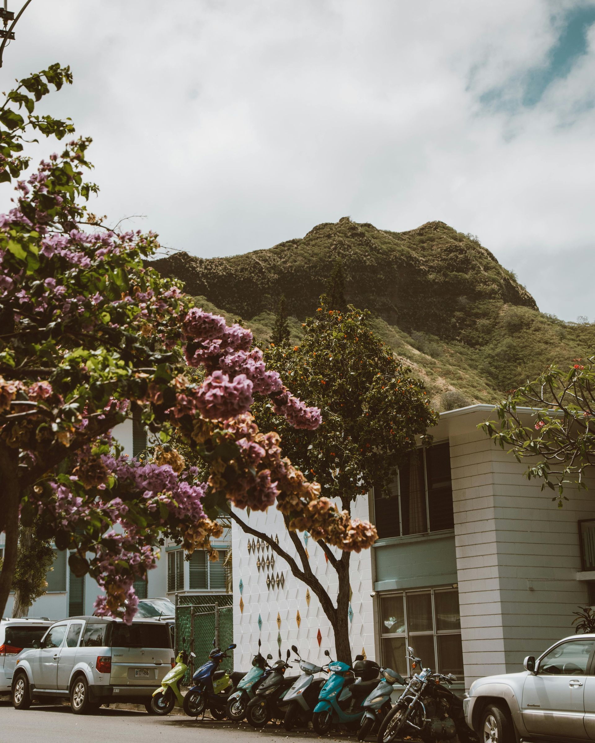 Buildings, flowering trees, and scooters with a mountain backdrop under cloudy skies.
