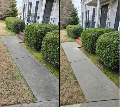 Sidewalk comparison: Before and after cleaning. Grimy concrete path transformed to cleaner, lighter gray.