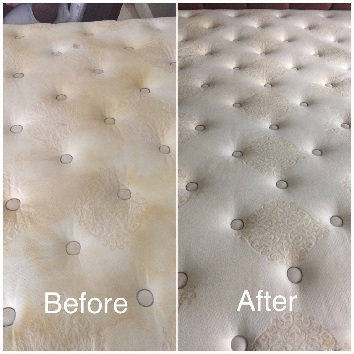 Before & After Upholstery Cleaning Services