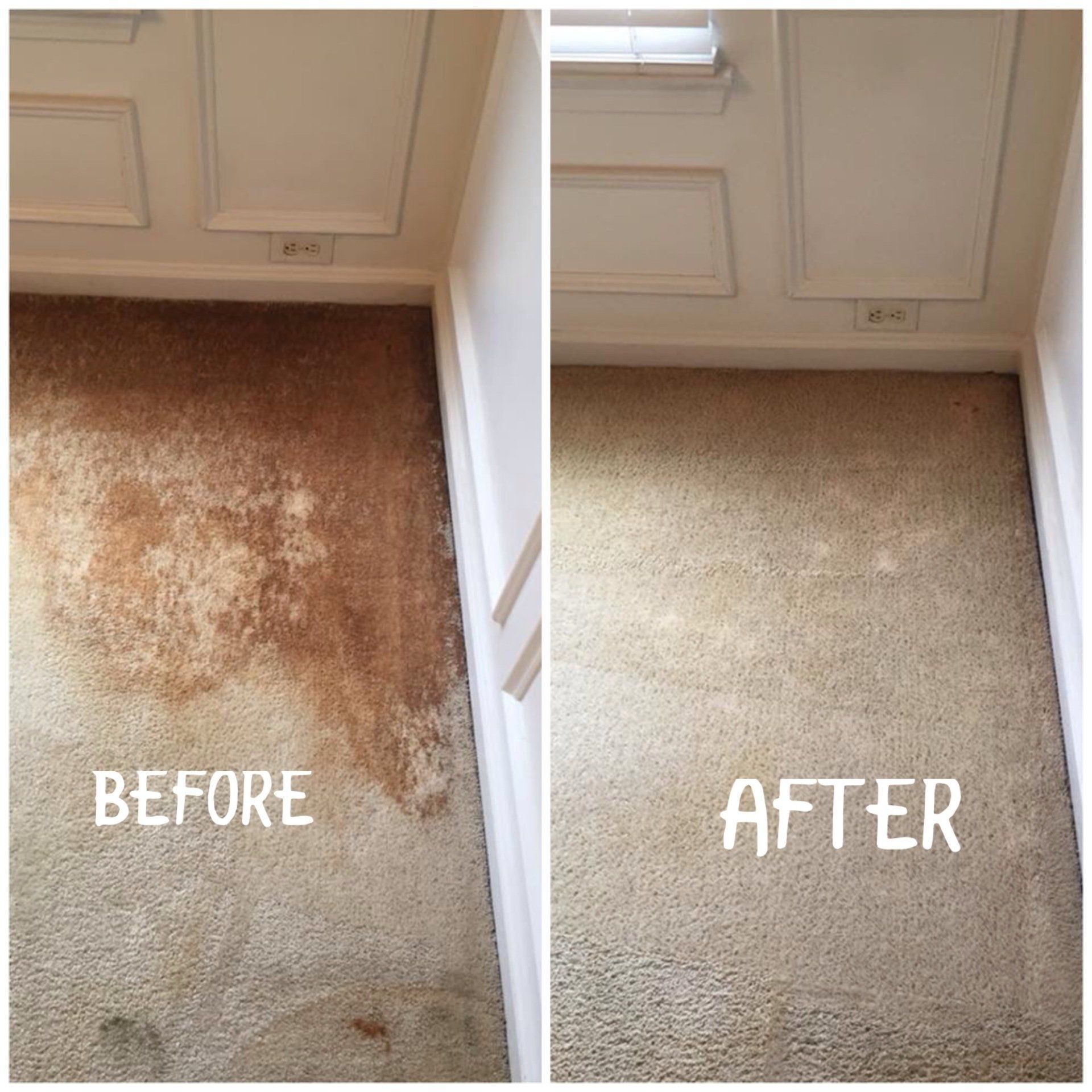 Before and After Carpet Cleaning