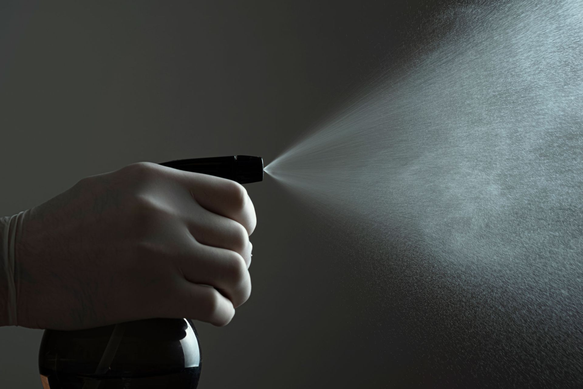 A person is spraying something with a spray bottle.
