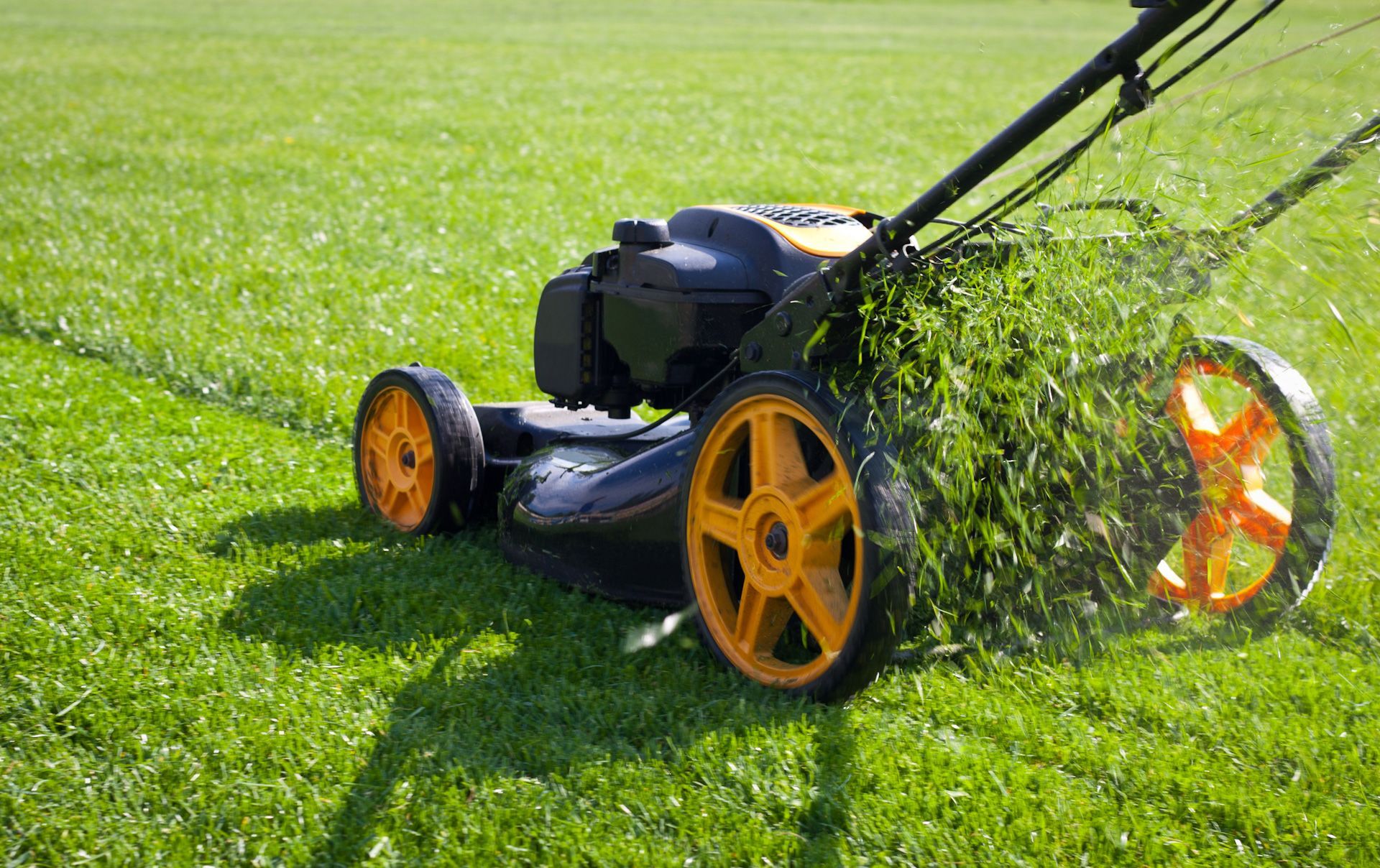 A lawn mower is cutting a lush green lawn.