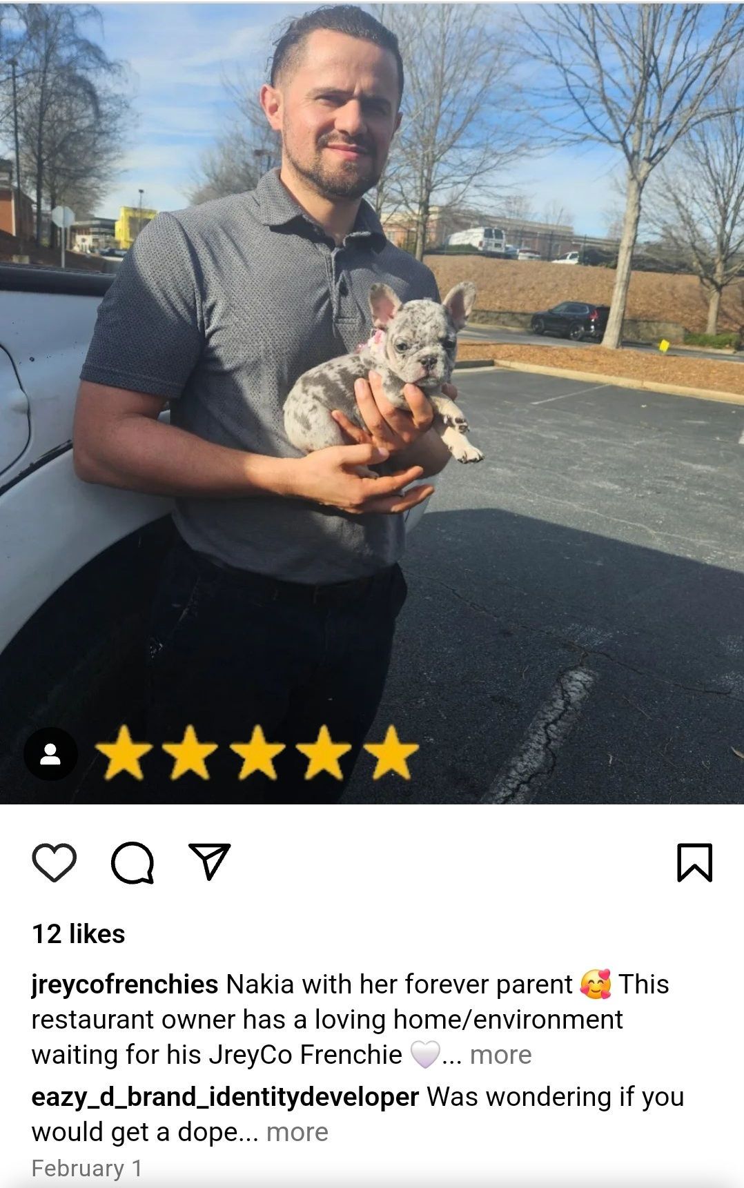 Frenchies for Sale Atlanta Georgia 