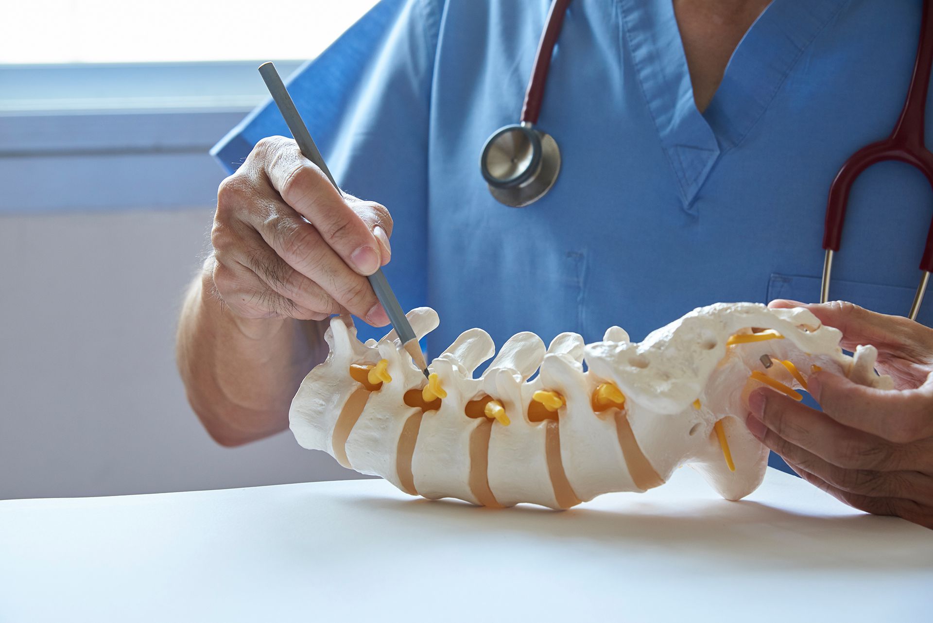A doctor is examining a model of a spine with a scalpel.