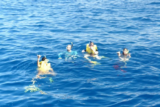 A group of people are swimming in the ocean.