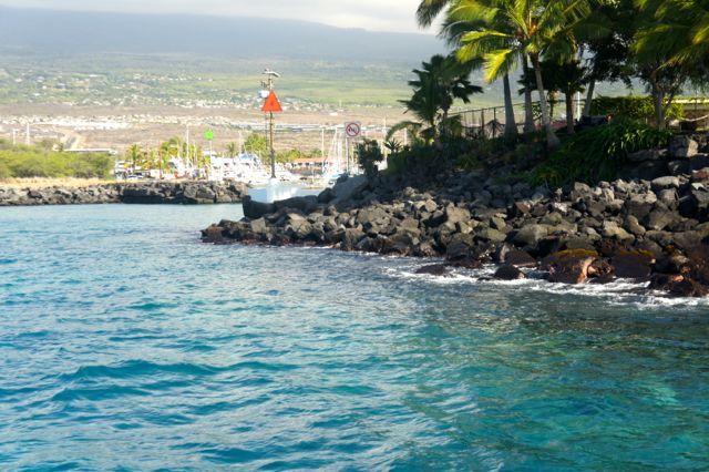 A large body of water surrounded by rocks and palm trees