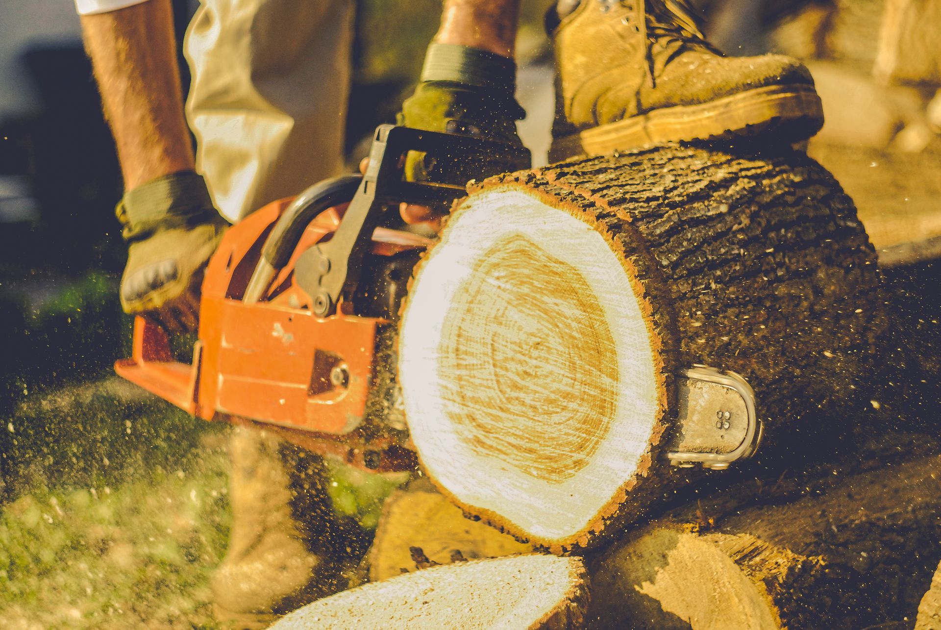 A man is cutting a log with a chainsaw.