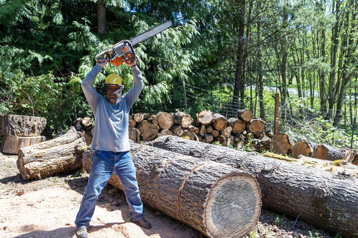 A man is cutting a log with a chainsaw in the woods.