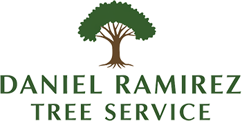 The logo for daniel ramirez tree service shows a tree with roots.